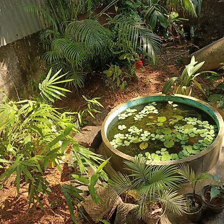Adams Wood House Ayurveda Homestay Kochi Exterior photo