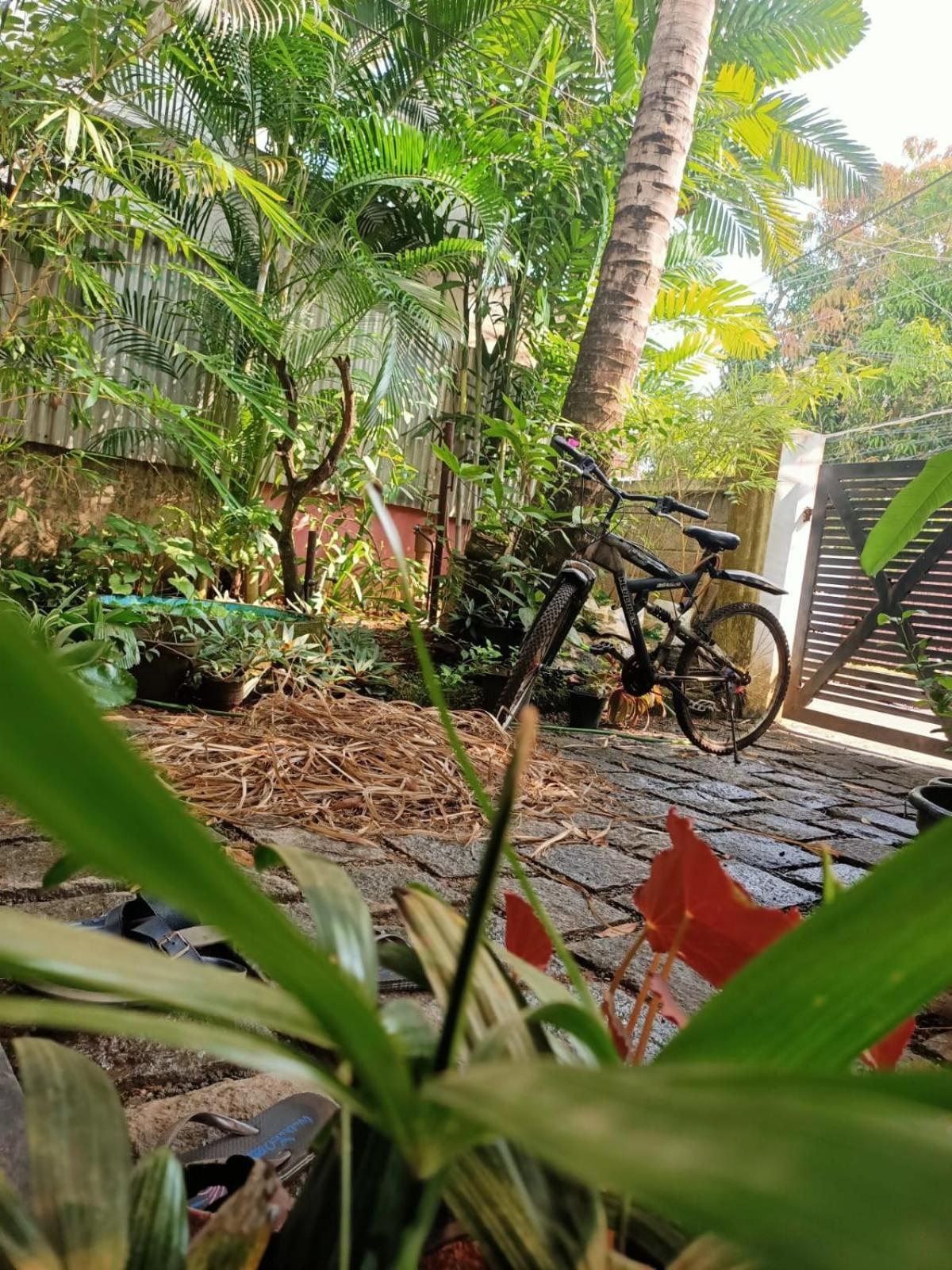 Adams Wood House Ayurveda Homestay Kochi Exterior photo