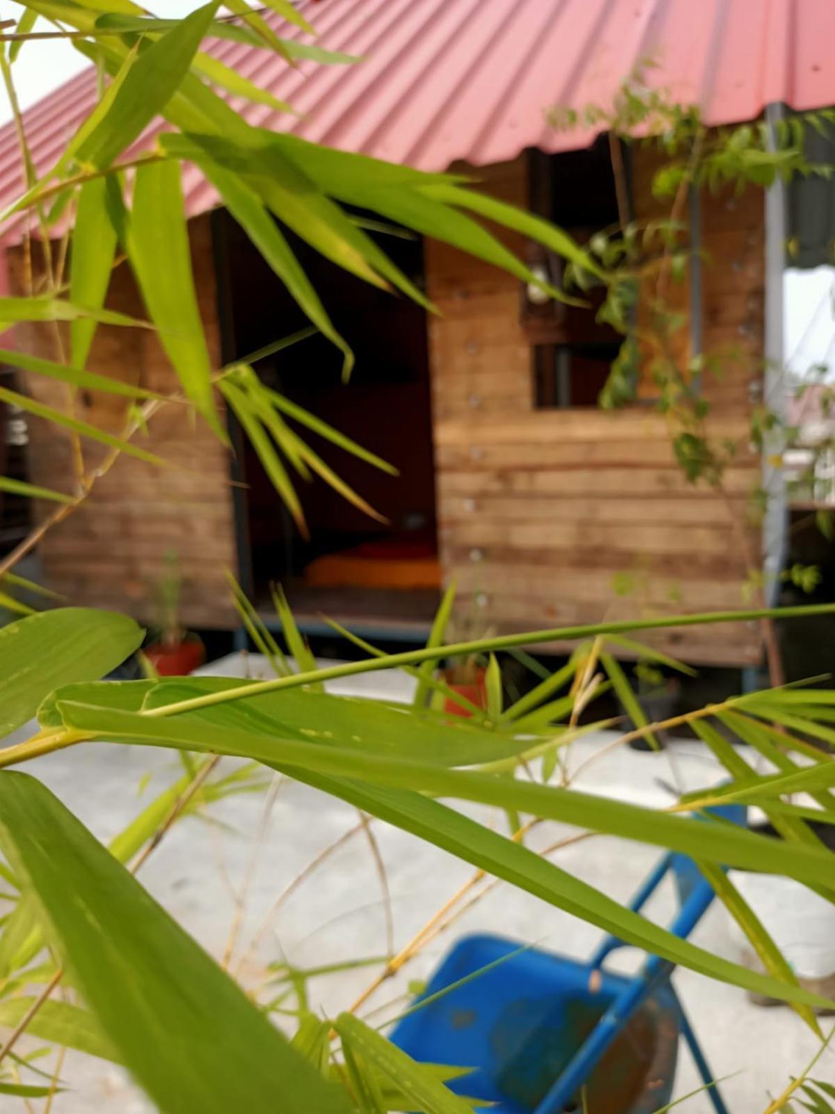 Adams Wood House Ayurveda Homestay Kochi Exterior photo