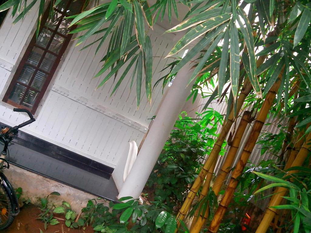 Adams Wood House Ayurveda Homestay Kochi Exterior photo