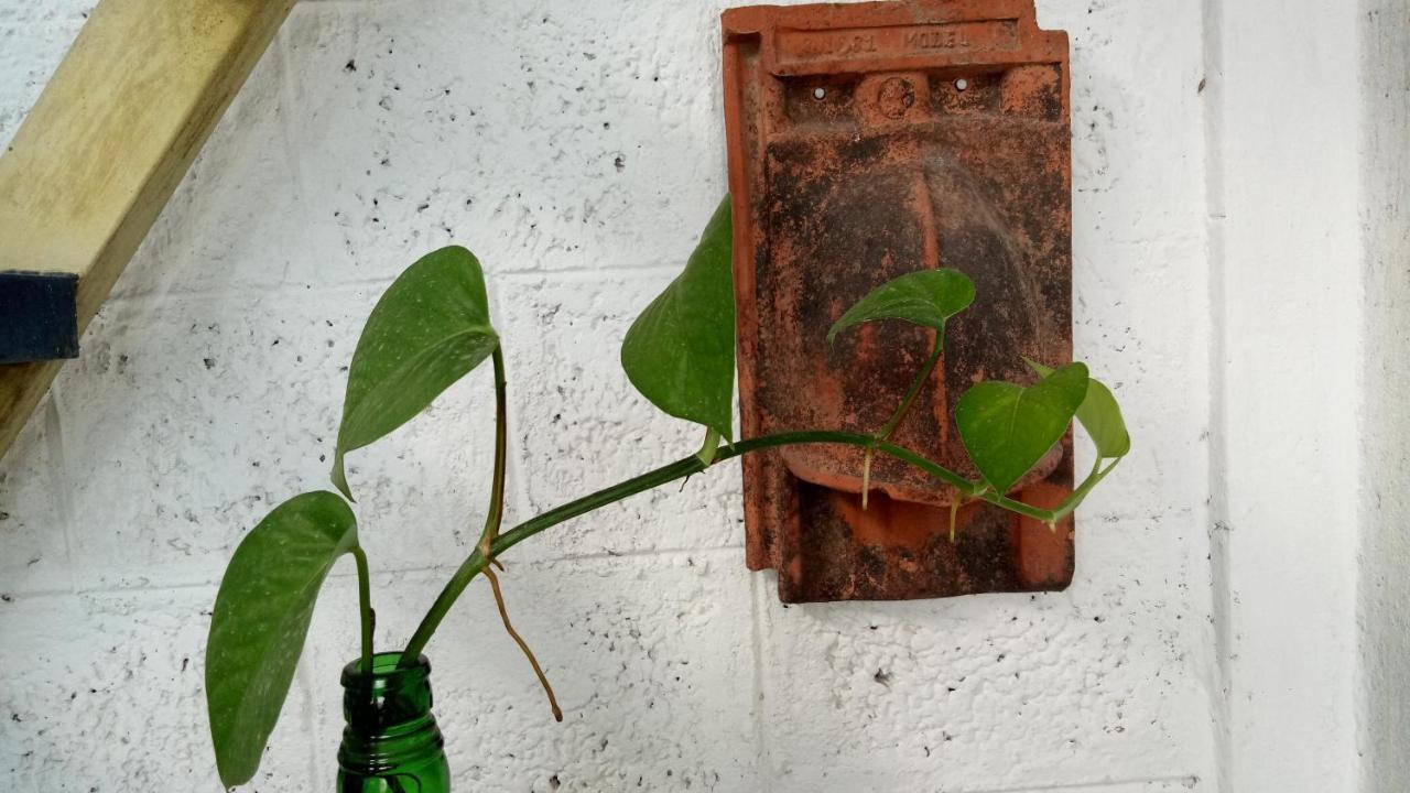 Adams Wood House Ayurveda Homestay Kochi Exterior photo